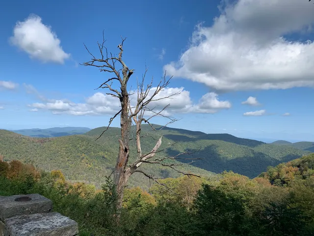 Hemlock Springs Overlook
