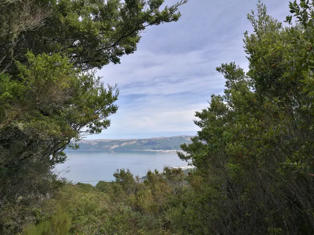 Lowry Trig Viewpoint