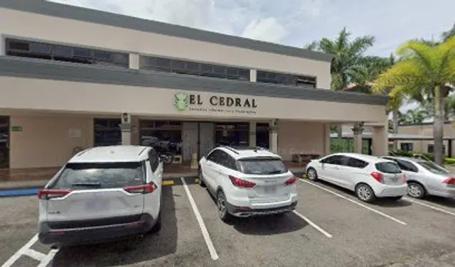 Taller de Pizza Da Domenico • Belén