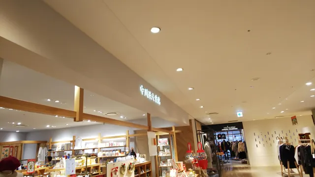 Nakagawa Masashichi Shoten LUCUA 1100 Store