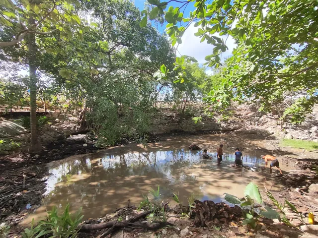 Cenote "Arco Norte" Sm. 244 Nº13