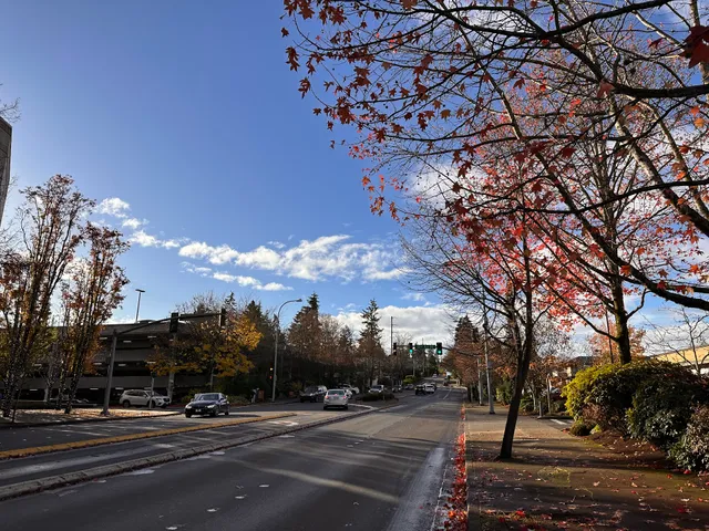 Bellevue Village Center