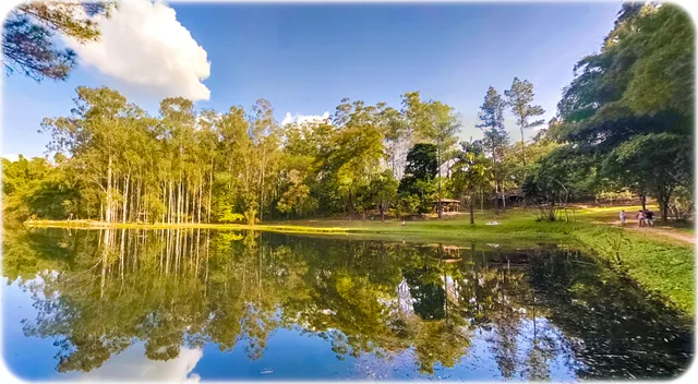 Horto Florestal de Piracicaba - Tupi