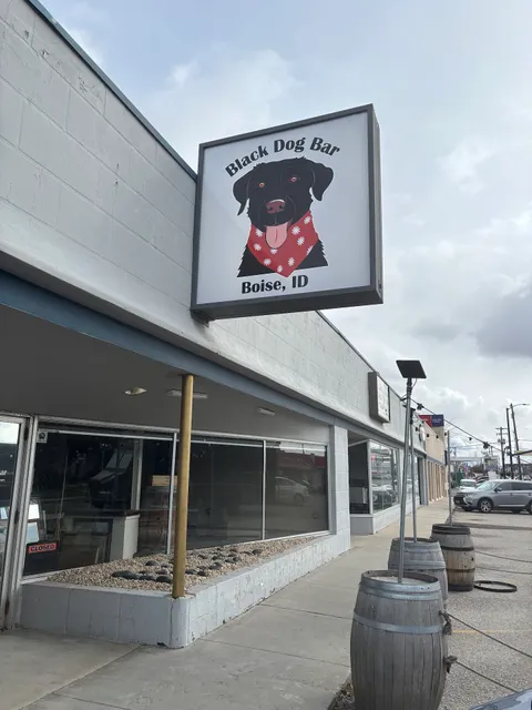 Black Dog Bar