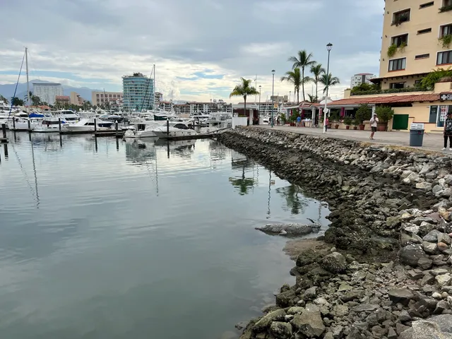 Marina Vallarta Boardwalk