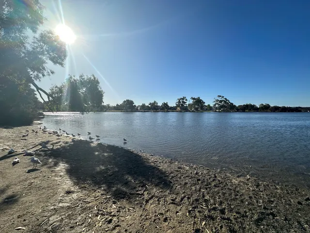 Fern Park Playground