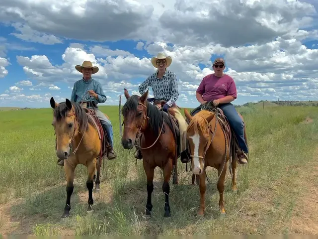 Montana Bunkhouses Working Ranch Vacations