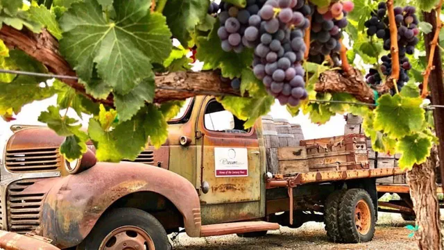 Besson Family Vineyards