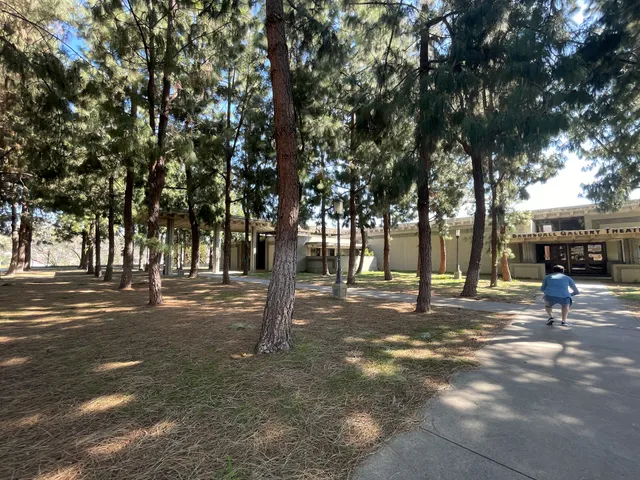 Hollyhock House Visitor Center