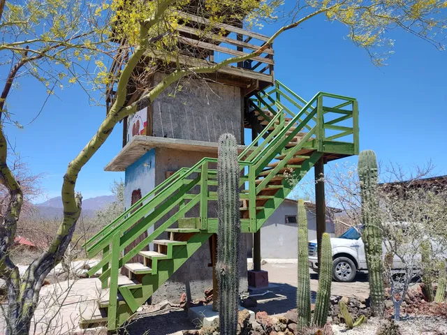 Eco Tour Las Tres Vírgenes