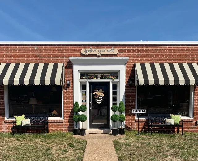 Feather Your Nest and Cindy Lloyd Design