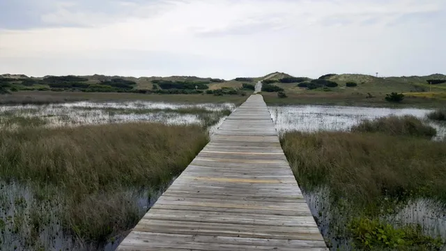 Cape Hatteras National Seashore - Frisco