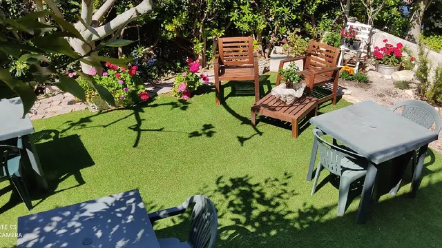 B & B in the old elm