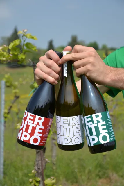 Cantina Terre Rosse Vallania - Colli Bolognesi