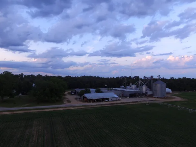 Sharp & Sharp Certified Seed