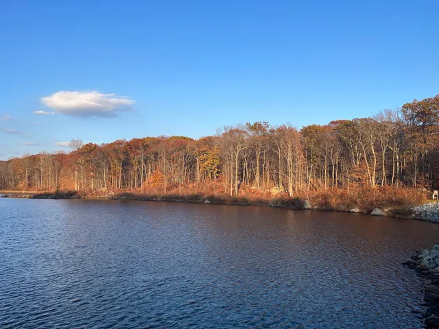 Rockaway River State Wildlife Management Area