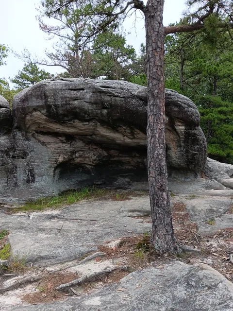 Pickle Creek Trailhead
