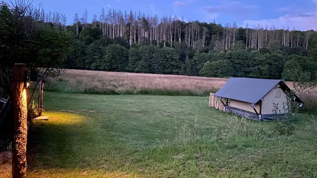 Alte Mühle Börfink