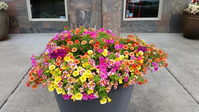 Simply Storage Springfield & Springfield Business Center