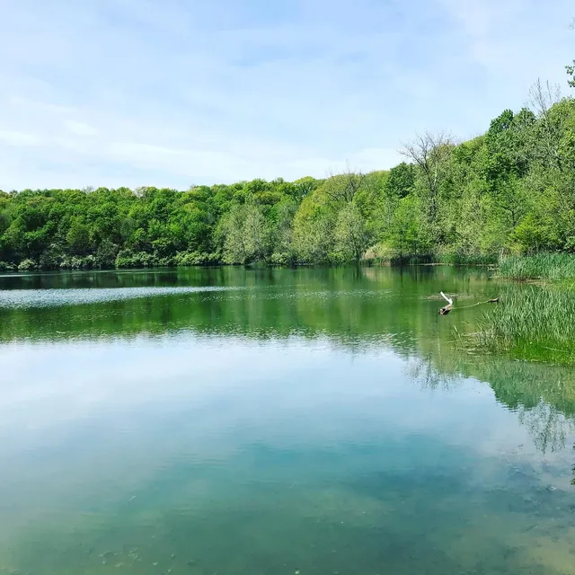 North Riverview Trailhead