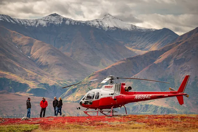 TEMSCO Helicopters Inc. - Denali