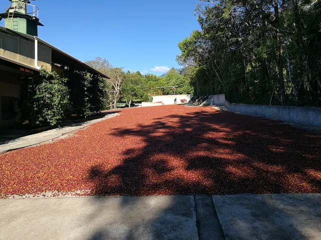 Hacienda La Esmeralda