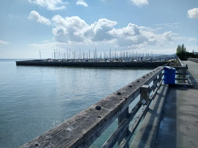 Brisbane Fishing Pier