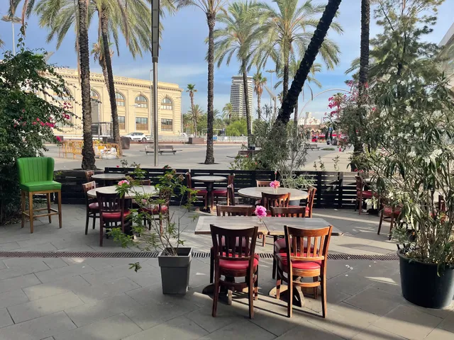 Mediterrània Brasserie