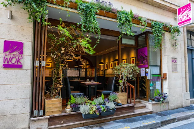 Influence Wok