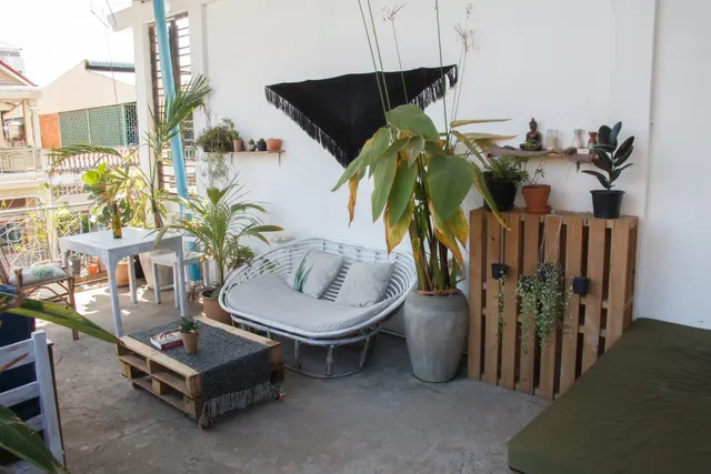 Sacred Lotus - Vegan - Café x Hostel | Phnom Penh