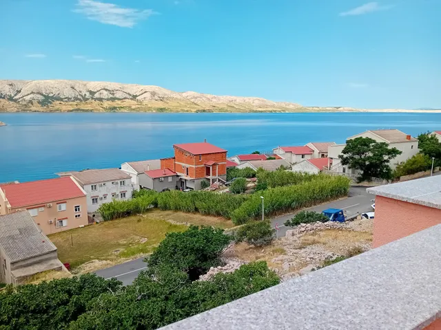 Pansion Forca Metajna 26