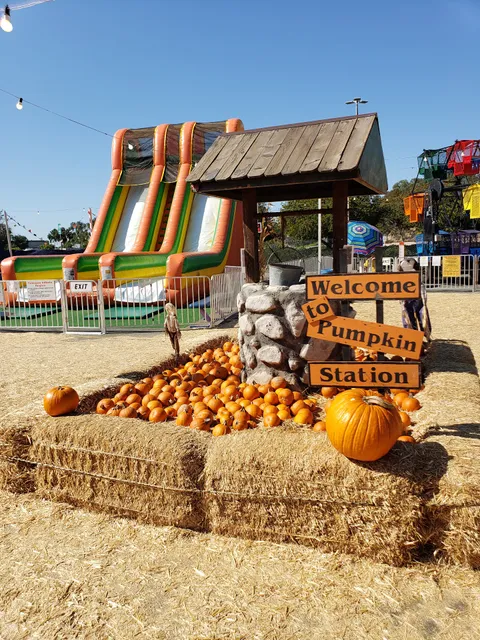 Pumpkin Patch National City, Pumpkins National City