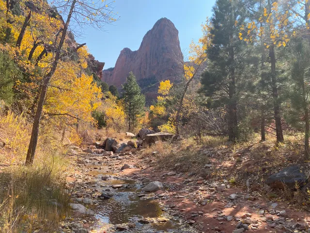 Taylor Creek Trailhead