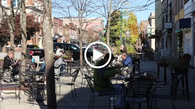 Black Bear Coffee Co