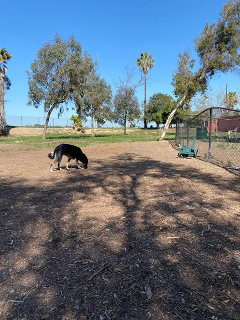 Wrigley Heights Dog Park