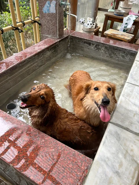 Hakonenomori Footbath