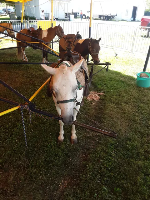 Perry County Fairgrounds