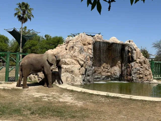 Elefantario - elephant