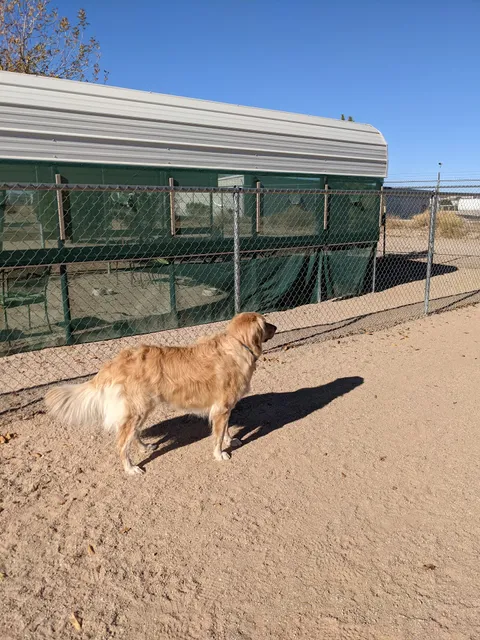 Wickenburg Dog Park