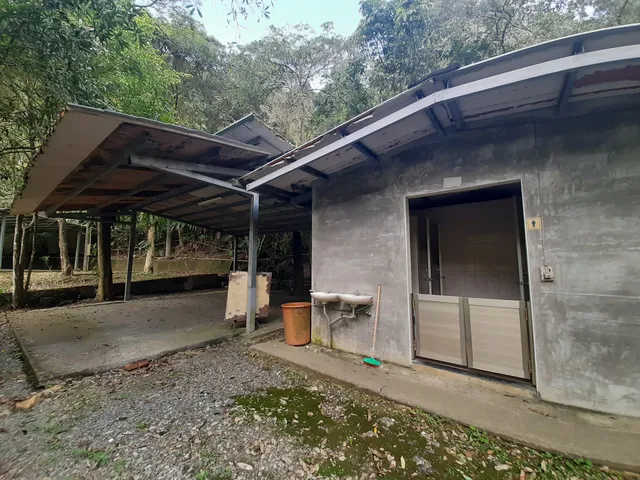 坪林露營‧仁里生態茶園