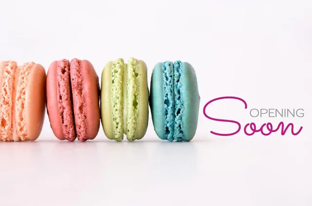 Le Macaron French Pastries Canton GA