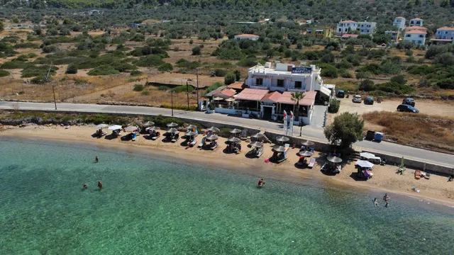 Hotel Beach Amaryllis