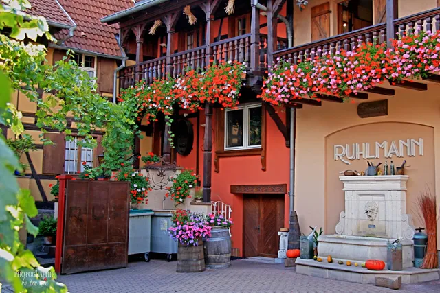 Famille Ruhlmann-Schutz – Créateurs de Vins