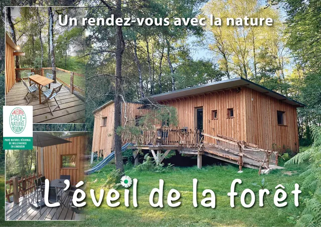 L'Éveil de la Forêt