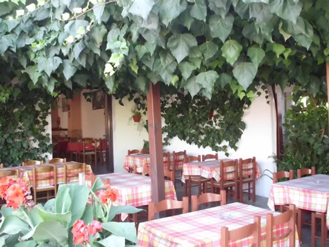 TAVERNA O DIMITRIS