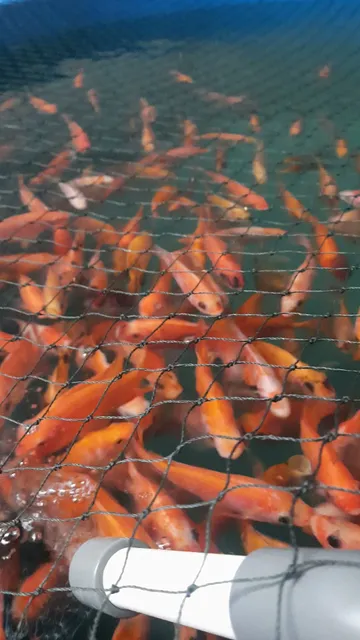 Perumahan Puri Indah