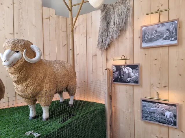 Maison de la Laine et du Drap