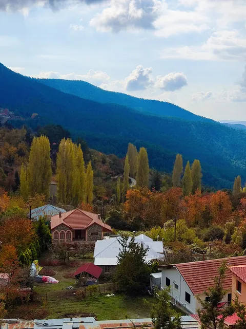 Stella's country house