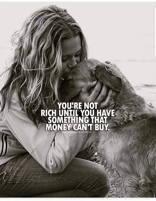 Preppy Pet Worthington