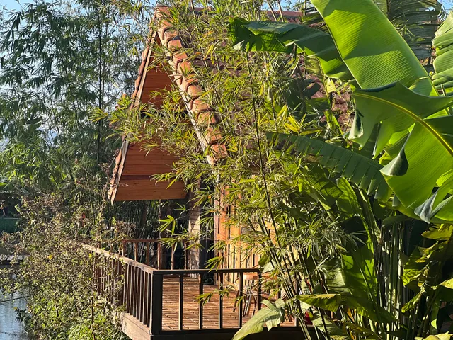 Mộc An Nhiên Cafe' Farmstay - Camping- BBQ